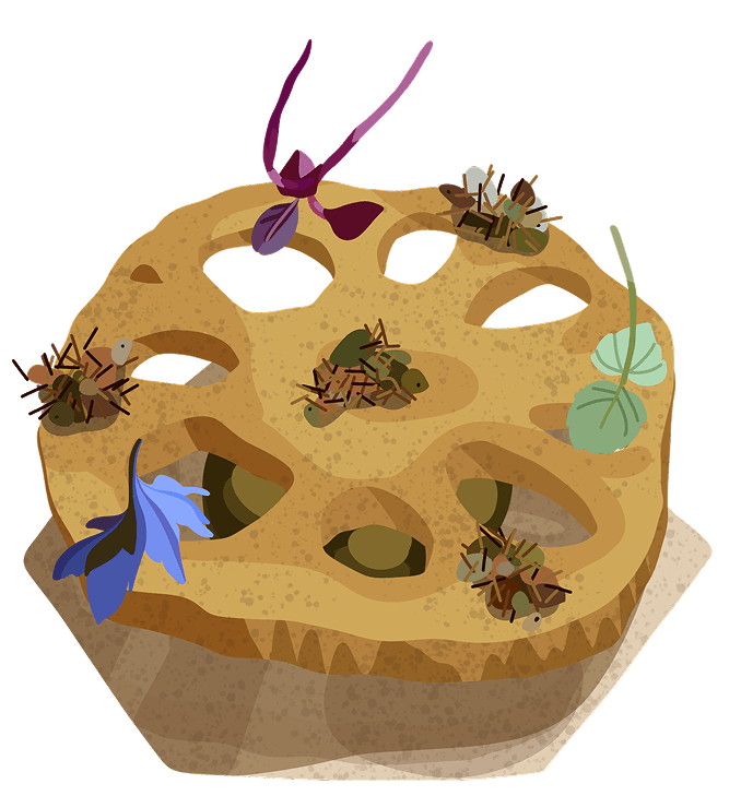 Dish artwork 9